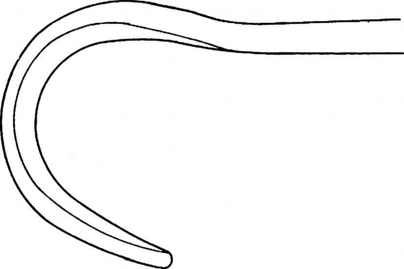 LINE DRAWING BT655R-Aesculap Article Picture (Media Manager)
