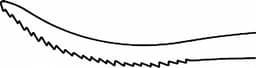 LINE DRAWING OL411R-Aesculap Article Picture (Media Manager)